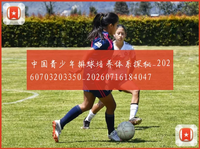 中国青少年排球培养体系探秘_20260703203350_20260716184047