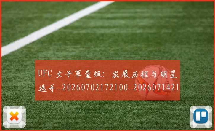 UFC 女子草量级：发展历程与明星选手_20260702172100_20260714215353