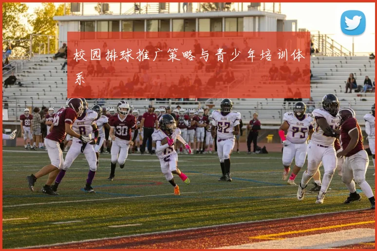 校园排球推广策略与青少年培训体系