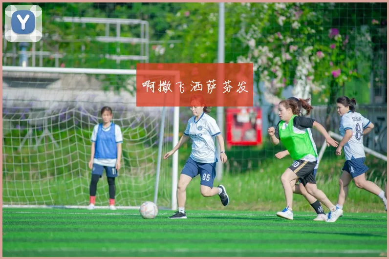 世界杯球迷指南:最新观赛与旅行贴士
